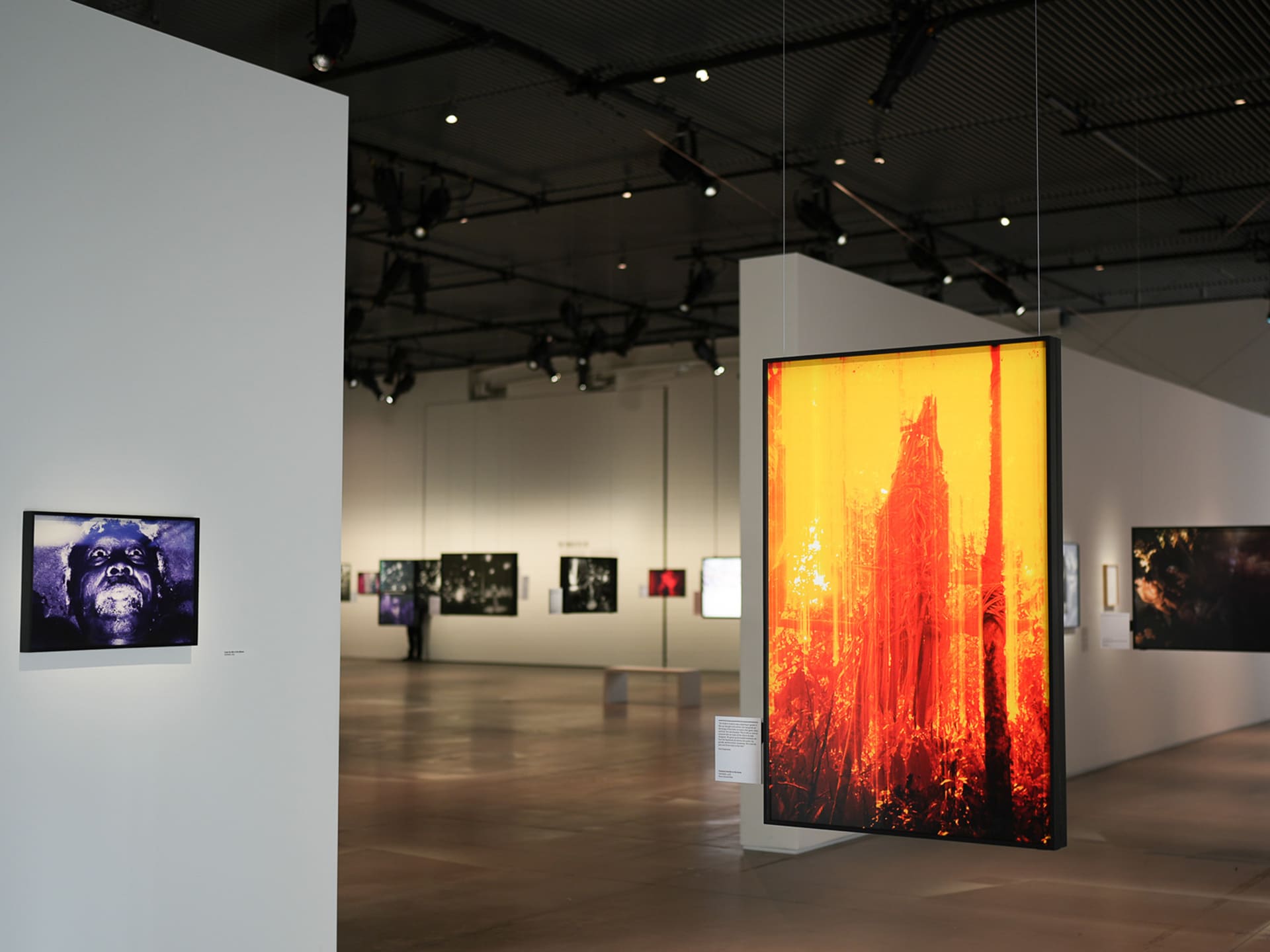 The Yanomami Struggle