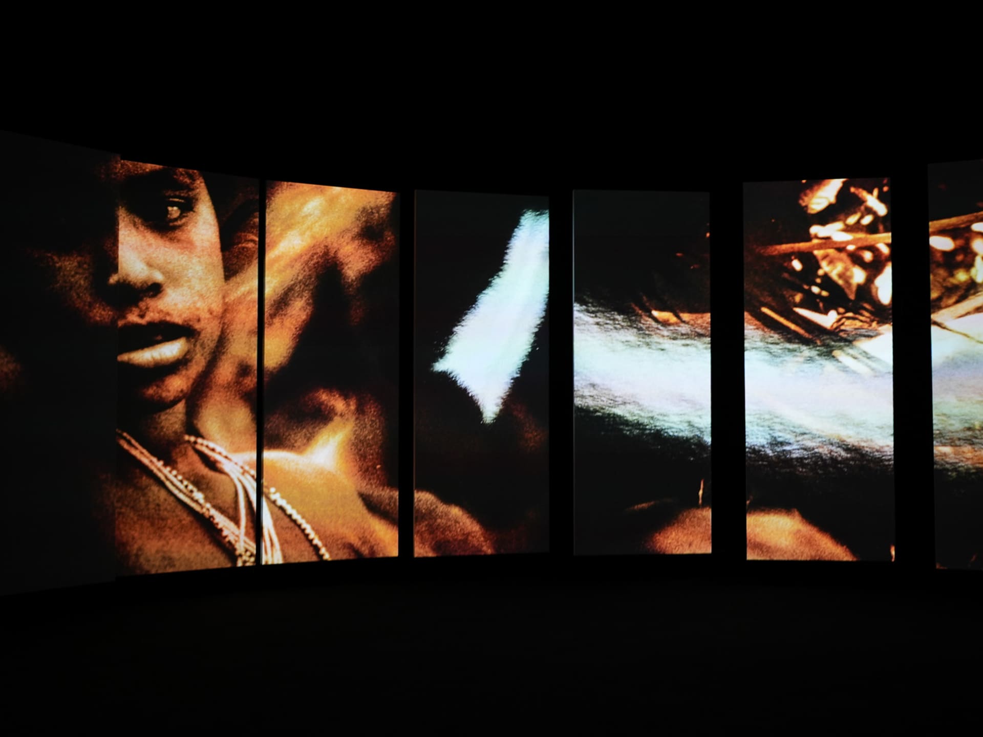 The Yanomami Struggle