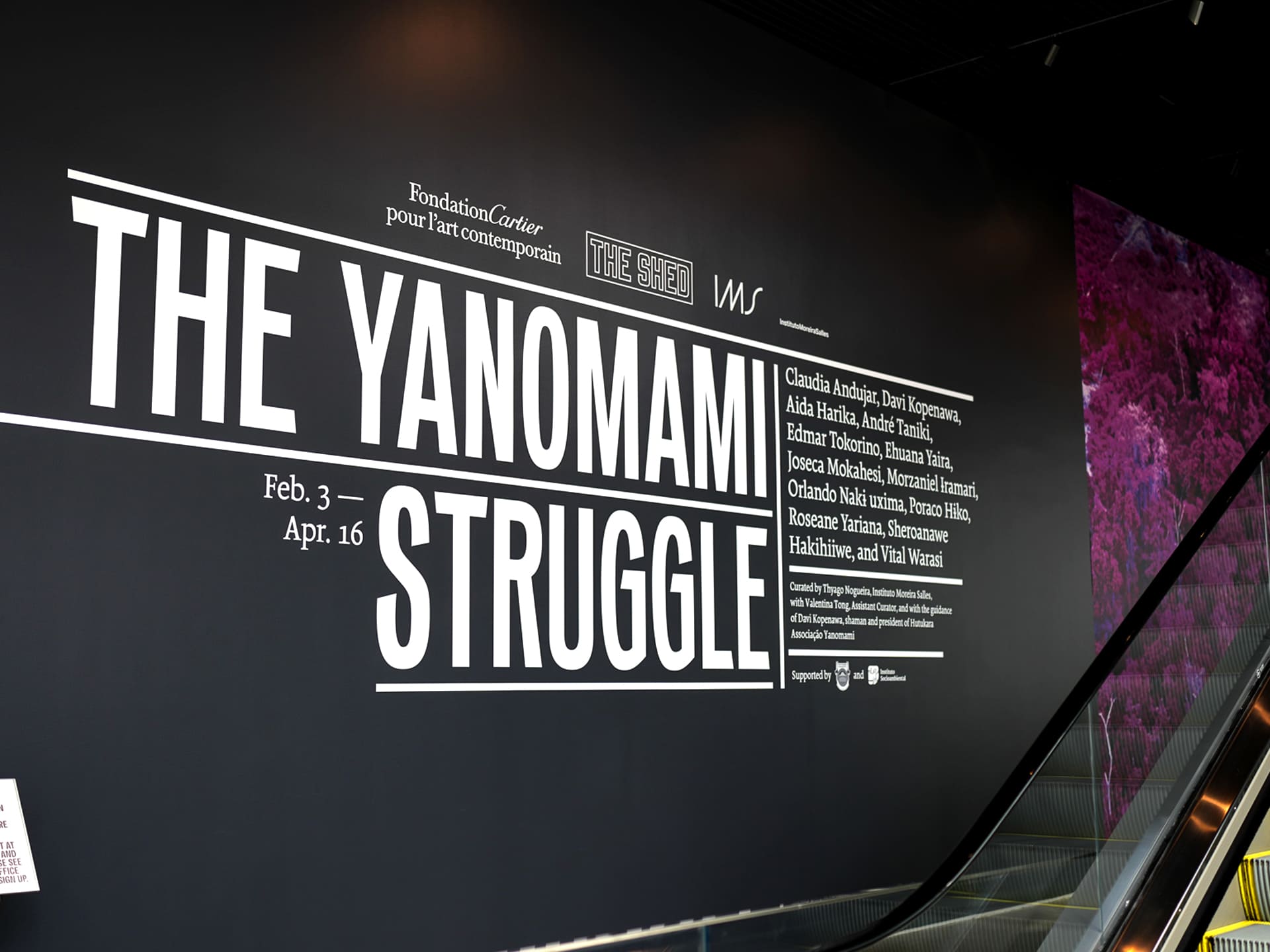 The Yanomami Struggle